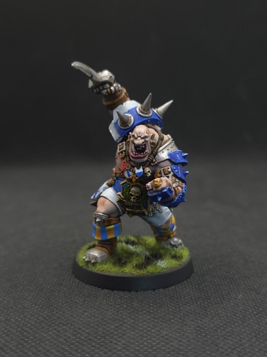 Blood bowl pro - bowl, dipinto